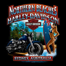 Harley Davidson Softail Women Harley In 2020 Harley Davidson Artwork Harley Davidson Harley Davidson Dealership