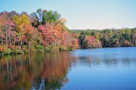 There does not seem to be a map available that shows the cabins specifically. French Creek State Park Wikipedia