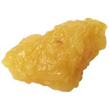 Life Form 1 Lb Life Form Body Fat Replica
