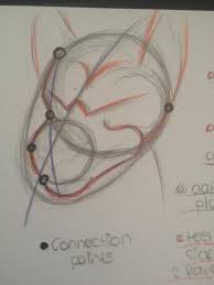 How To Draw Worgen 1 Wow Amino Drawings Draw Werewolf