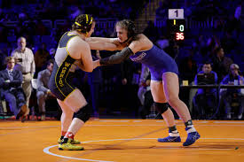 Grinding it out: See photos from the final day of the 2023 UIL state  wrestling championships