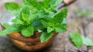 Cara mengobati batuk kering dapat anda lakukan dengan dua cara yaitu cara tradisional dan juga menggunakan obat batuk kering di apotik yang aman jeruk nipis juga dapat digunakan sebagai obat batuk berdahak dan juga cara memutihkan gigi secara alami. 7 Cara Alami Atasi Batuk Kering Dengan Cepat Mudah Dan Aman Hot Liputan6 Com