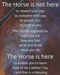 Two Feet Move Your Body Four Feet Move Your Soul Meaning Why The Horse Is Here Love This Important To Remember Important To Love Equestrianbusiness Horseproduct Horses Bla Horse Quotes Horses Equestrian Quotes
