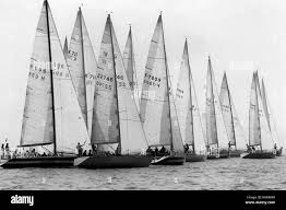 Image result for White 1981 Fleet