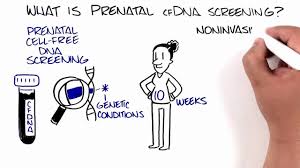 A prenatal dna test can't be wrong. Prenatal Cell Free Dna Screening Cfdna Screening Youtube