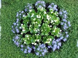 Da kam der besuch der lgs in landau genau richtig, um neue anregungen zu. Pin Von Frankie Bay Auf Grab Grabbepflanzung Bepflanzung Grabgestaltung