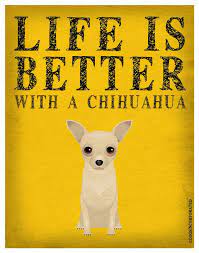 La Vida Es Mejor Con Una Lamina De Chihuahua Por Dogsincorporated Chihuahua Art Chihuahua Cute Chihuahua