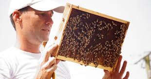 Bee Here Now! The New Trend in Hive Hosting