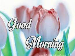 New comedy good morning wallpaper. Good Morning Gif Pic Good Morning Gif Images For Whatsapp Lovely Quotes
