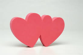 Double shot at love is an american reality television show featuring dj pauly d and vinny guadagnino from jersey shore. Double Your Love Today For Jasmin S Birthday All Donations Up To 25 000 Will Be Matched Let S Change The World For Animals Our Hen House