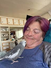 Meet bozy he visits me every day since young, his legs been like this since  i first saw him, he is very freindly often flies onto my car when I pull up,