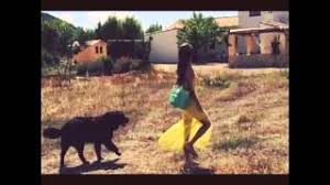 D hm when you and i were forever wild, g a the crazy days, city lights, hm d the way you'd play with me like a child. Best Of Hot Summer Nights Mid July When You And I Were Forever Wild Free Watch Download Todaypk