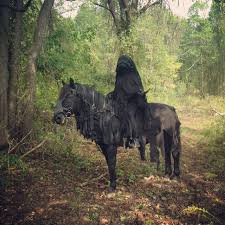 Maybe you would like to learn more about one of these? 2016 Hn Halloween Costume Parade Contest Winner Presented By Absorbine Horse Nation