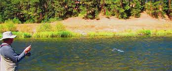 Hat Creek Fly Fishing Guide Trout And Steelhead Northern California
