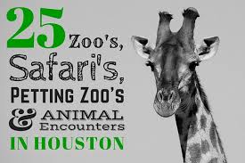Zoo S Safari S Petting Zoo S And Places To See Animals In Houston Galveston Things To Do In Houston With Kids And Families Houston Travel Houston Zoo