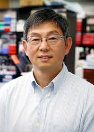 Vanderbilt University School of Medicine