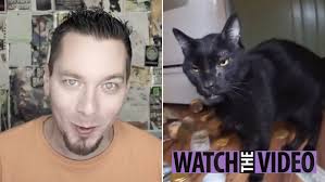 Talking Kitty Cat' YouTube star Steve Cash 'dead at 40 from apparent  suicide' |