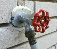 Best Garden Hoses Guide Recommendations Gardening Products Review