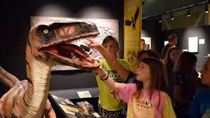 Birds and dinosaurs, dinosaurs and birds, did one evolve from the other or did they evolve in similar environments under similar conditions? Birds Are Dinosaurs Vermont Institute Of Natural Science