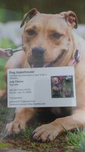 Locals turn to the nearest alternative, which is the walton rocks beach located at a small distance from jensen beach. Dog Guesthouse Home Facebook