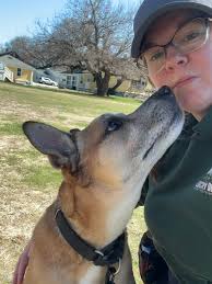 Massachusetts and in search of his new forever home 🐾❤️🐾