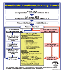Image result for Ventricular Fibrillation Management in the Adult
