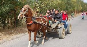 At arabası ile yabana gitmek ne güzeldi… #kilis #pazar