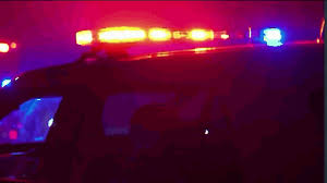 Pin By Qwert Asdfg On Shit Police Lights Font Design Logo Police