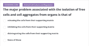 We did not find results for: The Major Problem Associated With The Isolation Of Free Cells And Cell Aggregates From Organs Is That Of Examians