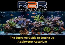 The Supreme Guide To Setting Up A Saltwater Reef Aquarium