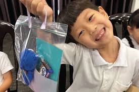 newsletter-term-2-issue-3-2023