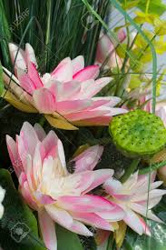 Check spelling or type a new query. Lotus Model In Garden Model Material Make From Fabric Cloth And More Stock Photo Picture And Royalty Free Image Image 28297783