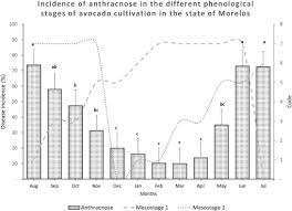 Bestockungstrieb sichtbar stadien fortlaufend bis. States Of Phenological Development Of Avocado Persea Americana Mill Based On The Bbch Scale Extended And Its Relationship To The Incidence Of Anthracnose In Field Conditions Sciencedirect