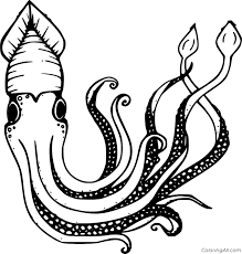 Download squid coloring page and use any clip art,coloring,png graphics in your website, document or presentation. Giant Squid Coloring Page Coloringall