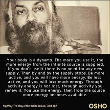 Zsolt Molnar Personal Trainer