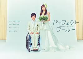 松坂桃李×山本美月の純愛ラブストーリー、主題歌・菅田将暉で話題のドラマが登場『パーフェクトワールド』Blu-ray&DVD BOX、10月16日発売  - TOWER RECORDS ONLINE