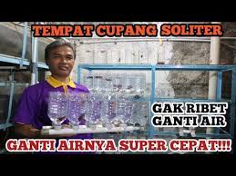 Tempat Ikan Cupang Soliter Ganti Airnya Super Cepat Solitary Betta Fish Change The Water Fast Youtube Di 2020 Betta Ikan Cupang Ikan