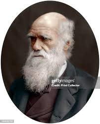 595 Charles Darwin Portrait Stock Photos, High-Res Pictures, and Images