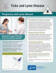Lyme Disease And Pregnancy Cdc Website Updates Outbreak News Today