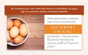 Egg Sizing Guide What Are The Different Egg Sizes