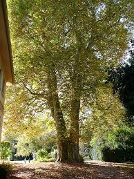 Besucherinfos Hohenheimer Garten