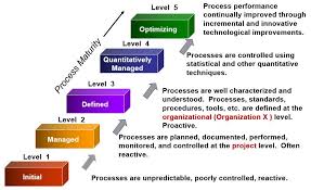 important projects process improvement assessment understood process improvement