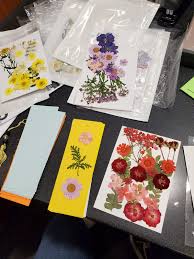 Place your flowers (as flat as you can) on the page. Learn How To Make Your Own Pressed Flower Bookmark With The Library S Latest Kit Pickerington Public Library