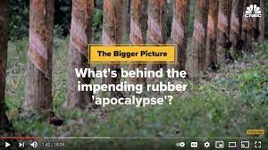 Are We Facing A Rubber Apocalypse