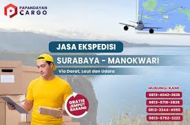 Kami berdedikasi tinggi untuk ekspedisi surabaya manokwari mengirimkan barang melalui 3 moda transportasi, yaitu cargo darat, cargo laut, dan juga cargo udara. Ekspedisi Surabaya Manokwari Papandayan Cargo Surbaya