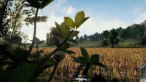 Pubg Wings At Steam Charts Top Spot