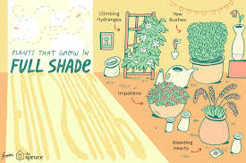 Full sun or part shade. Plants That Grow In Full Shade