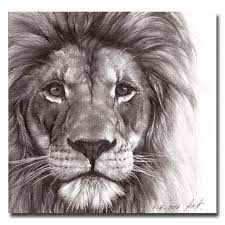 Big Cat Lion Prtrait Drawing Face Print 7 X7 21 00 Via Etsy Lion Drawing Lion Art Lion Sketch