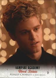 2014 Vampire Academy Blood Sisters YOU PICK