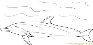 School's out for summer, so keep kids of all ages busy with summer coloring sheets. Bottlenose Dolphin Coloring Page For Kids Free Dolphin Printable Coloring Pages Online For Kids Coloringpages101 Com Coloring Pages For Kids